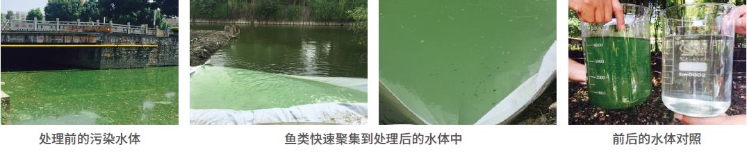 污水處理劑-國(guó)投盛世