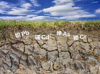 土壤修復(fù)調(diào)理劑-國投盛世