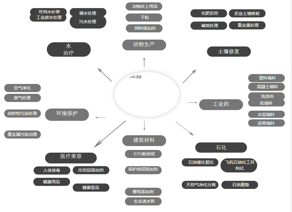 斜發(fā)沸石及應(yīng)用