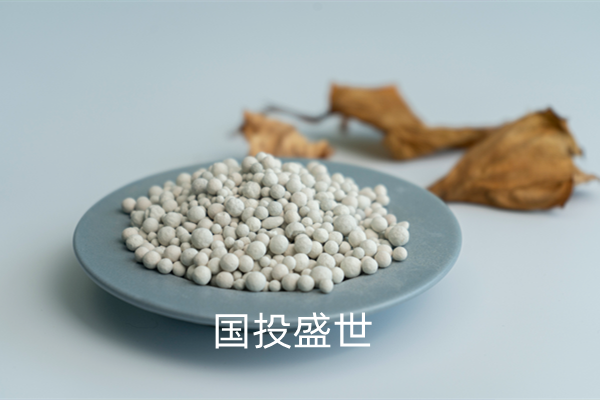 沸石分子篩吸附分離領(lǐng)域的應用-國投盛世