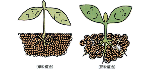 沸石如何應(yīng)用于土壤改良領(lǐng)域？-國投盛世