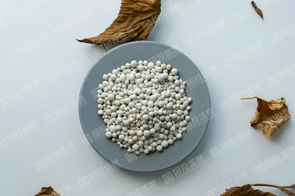 沸石未來(lái)10年將實(shí)現(xiàn)5%的正復(fù)合年增長(zhǎng)率