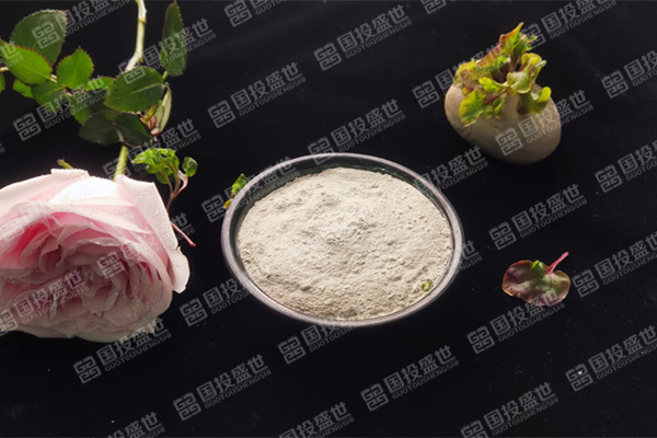 沸石的性質(zhì)與應(yīng)用范圍
