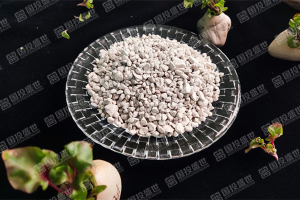 沸石在廢水處理中的應(yīng)用-國(guó)投盛世