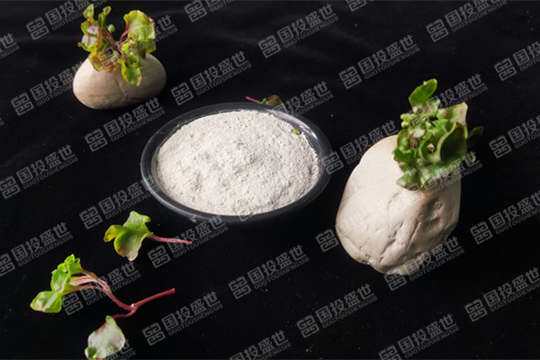 目前沸石飼料添加劑價格是多少？