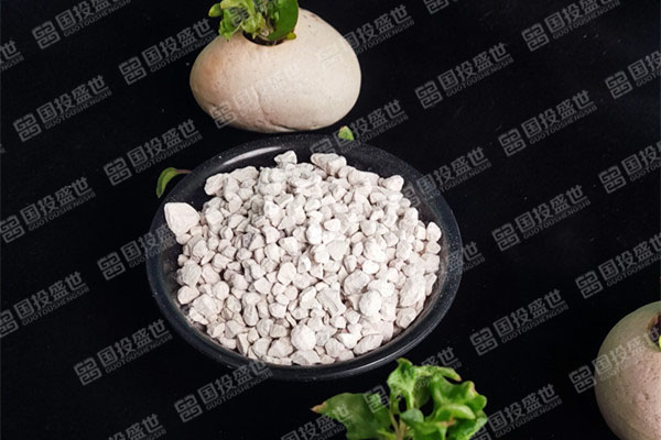種植多肉植物時應(yīng)用國投盛世沸石的好處
