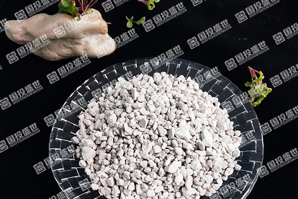 沸石與生物之間的關(guān)系