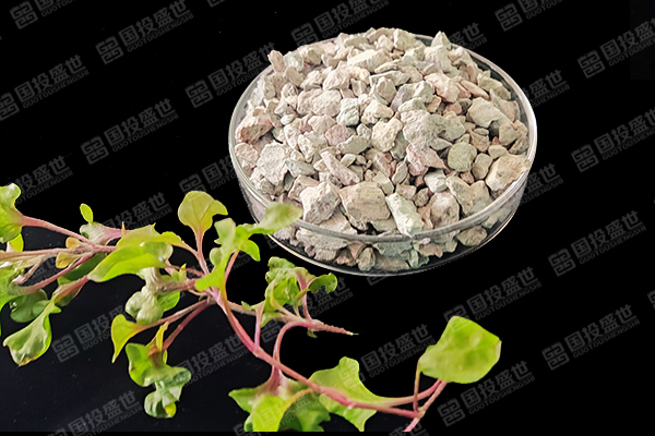 沸石在生態(tài)平衡領域的應用