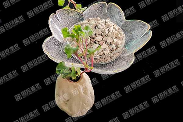 沸石在水產(chǎn)養(yǎng)殖業(yè)中的革新應(yīng)用及其環(huán)保效益探討