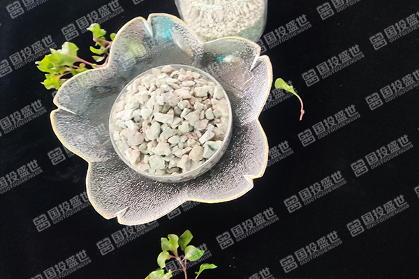 沸石在人工濕地生態(tài)系統(tǒng)中的應(yīng)用-國投盛世