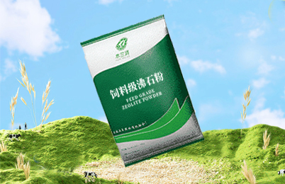 沸石產(chǎn)品與服務(wù)-國投盛世