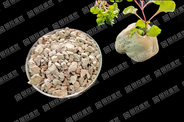 沸石如何提升紅薯種植效果？-國投盛世