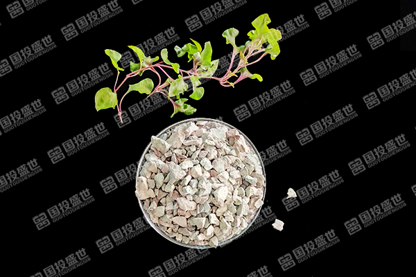 沸石能否成為草莓種植的好幫手？-國投盛世