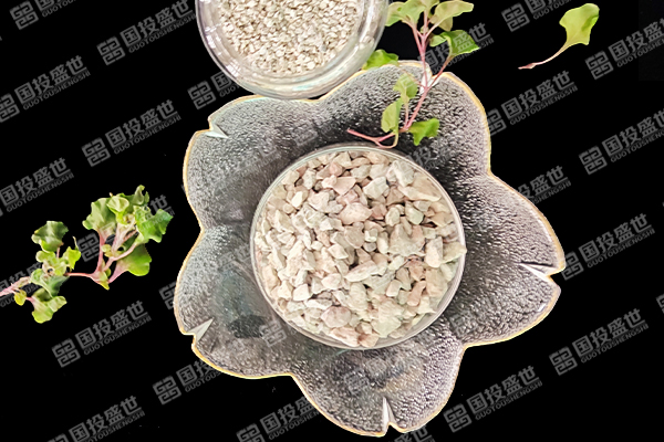 沸石能否提升蔬菜種植效果？-國投盛世