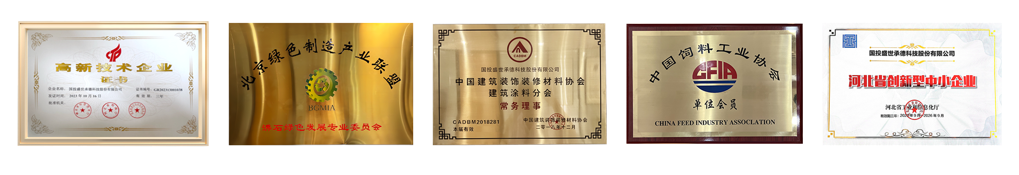 資質(zhì)榮譽(yù)-國投盛世