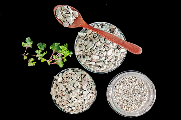 油菜種植時可以使用沸石嗎？-國投盛世