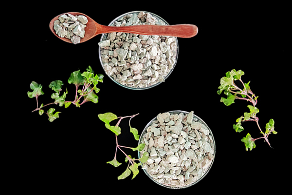種植黃豆時能使用沸石嗎？