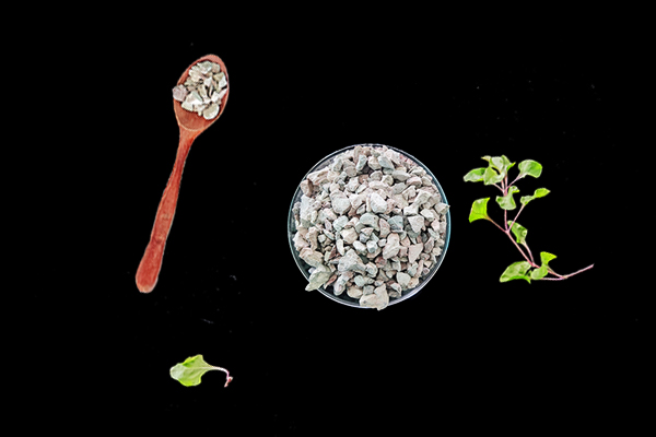 如何確保沸石在農(nóng)業(yè)中的使用不會對土壤微生物平衡產(chǎn)生負面影響?-國投盛世