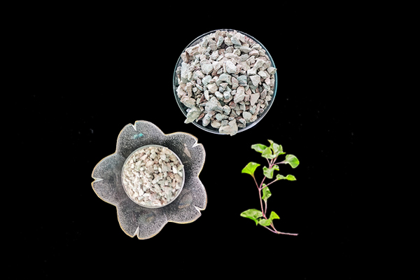 種植蓮藕時(shí)加入沸石能提高產(chǎn)量嗎？