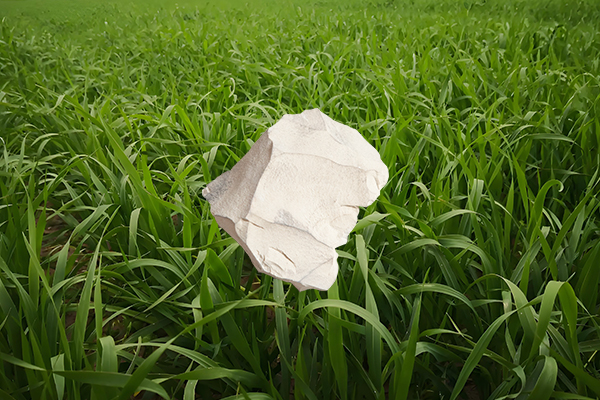 用天然沸石給燕麥種植是否能顯著提高產(chǎn)量？