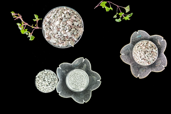 沸石能為芥菜增產(chǎn)提供幫助嗎？-國投盛世