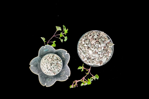 沸石能為扁豆種植帶來哪些改變？