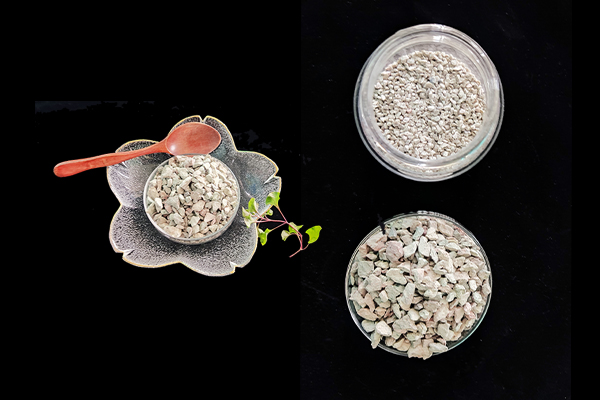 種植四季豆時(shí)加入沸石能提高產(chǎn)量嗎？