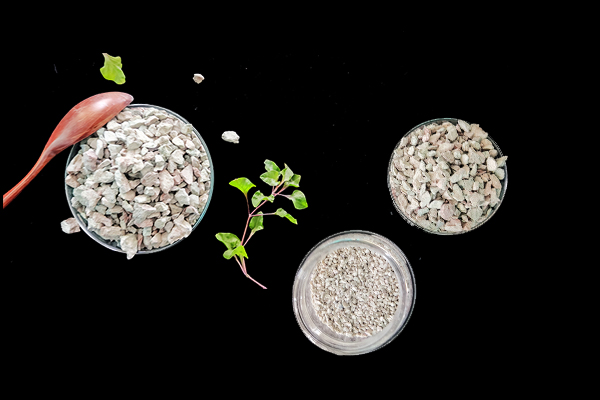 何時(shí)添加沸石于大麥種植最有效？