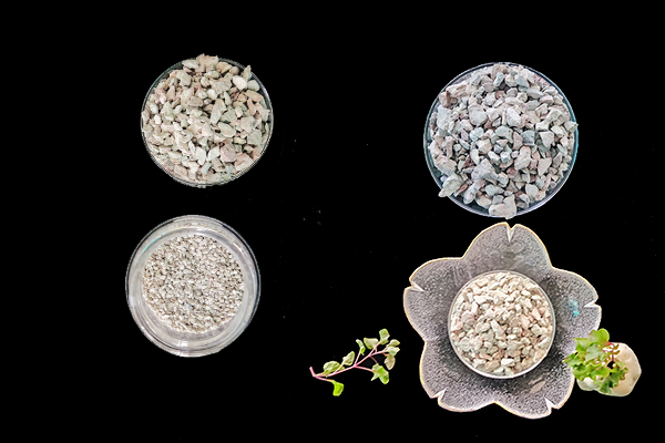 菠菜種植階段能使用沸石嗎？-國投盛世