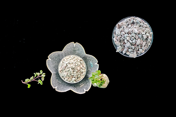 種植生菜時(shí)使用天然沸石能增產(chǎn)嗎？-國(guó)投盛世