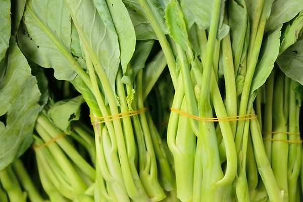 想要空心菜增產(chǎn)，就要在種植時要加入它了